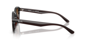 Branches originales Ray-Ban RB4458D, couleur 714 · Transparent marron foncé