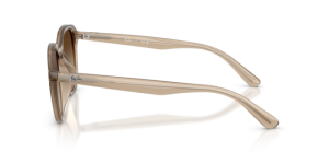 Branches originales Ray-Ban RB4459D, couleur 6166 · Turtledove
