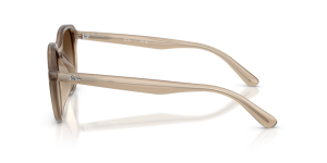 Branches originales Ray-Ban RB4459D, couleur 616613 · Turtledove