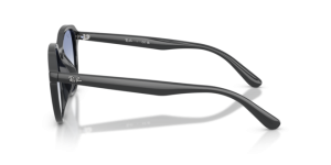 Branches originales Ray-Ban RB4459D, couleur 6230 · Opal gris