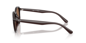 Branches originales Ray-Ban RB4459D, couleur 6231 · Opal marron