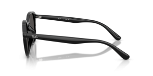 Branches originales Ray-Ban RB4459D, couleur 901 · Noir