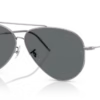 81-dark-grey-polarized-plastic