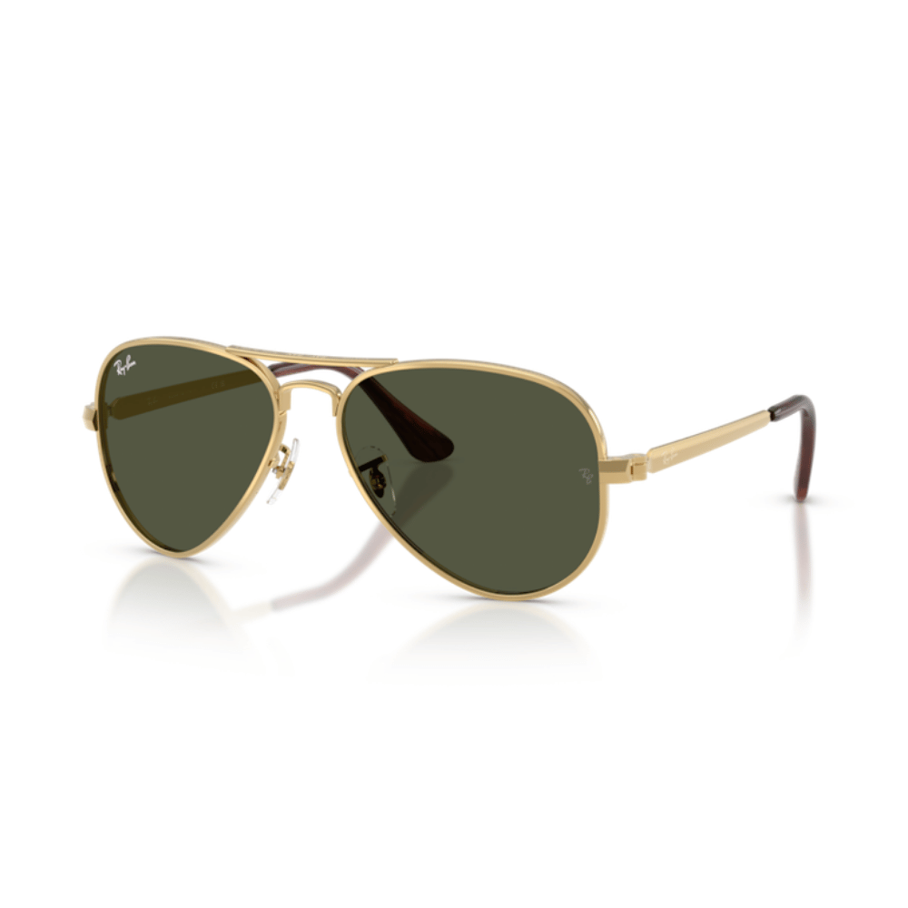 Ray-Ban 3925 AVIATOR MAX