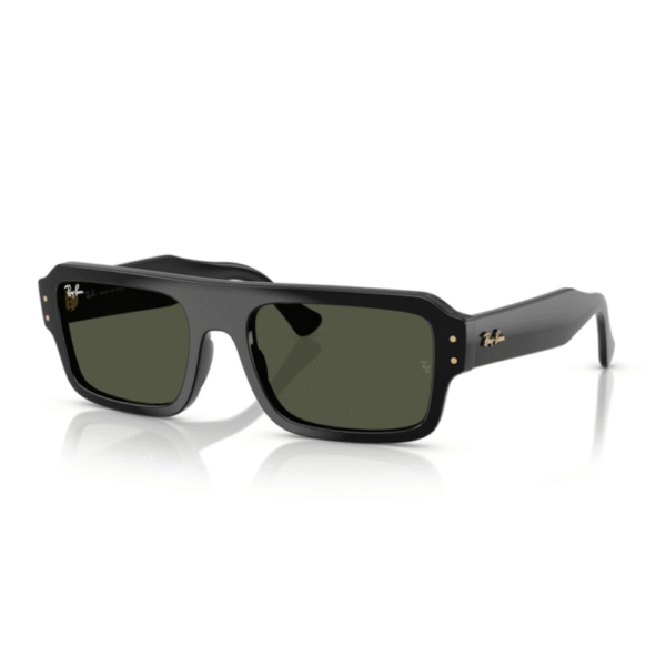 Ray-Ban 4454 FLACKO