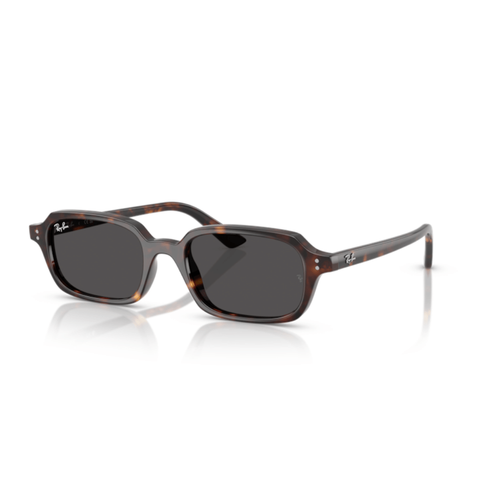 Ray-Ban 4455 ZURI