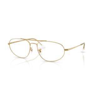 Ray-Ban RX6645