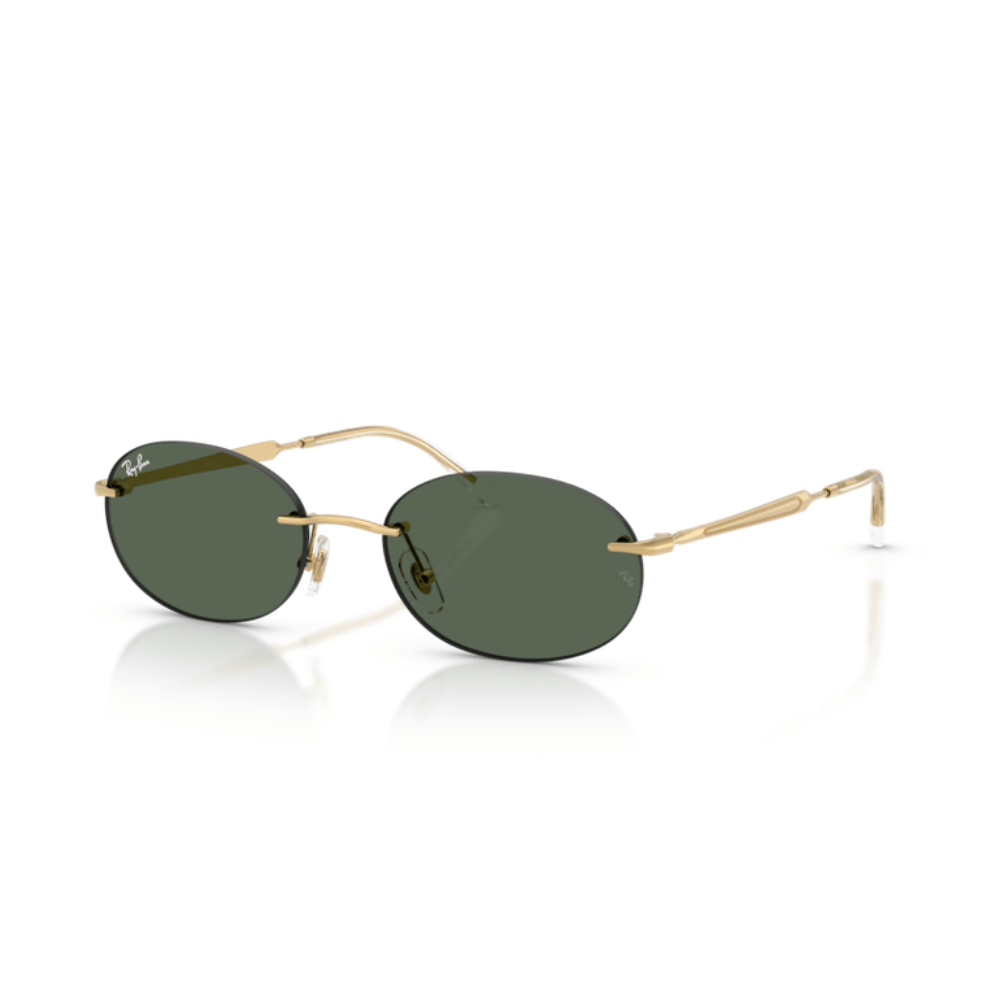 Ray-Ban 3767