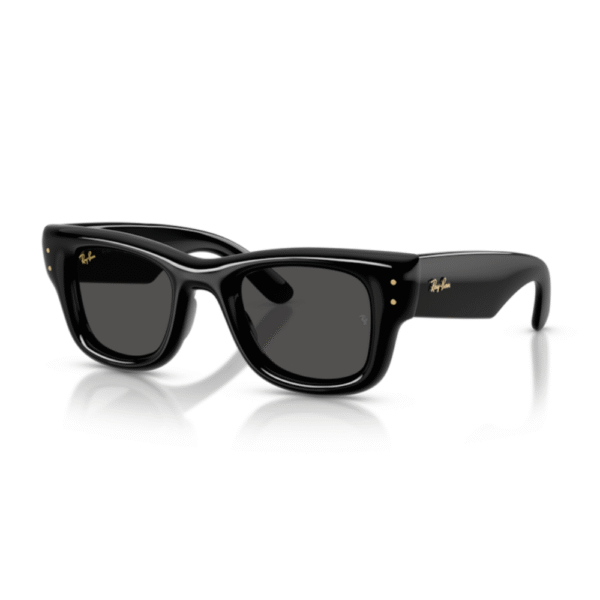 Ray-Ban 4940 - WAYFARER PUFFER
