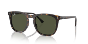 Ray-Ban 2210, couleur 902/31 · Havane