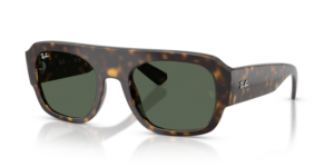 Ray-Ban 2218, couleur 679071 · Havane