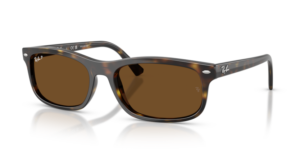 Ray-Ban 2224, couleur 710/57 · Havane