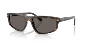 Ray-Ban 2225, couleur 710/B1 · Havane
