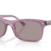 684753-transparent-violet