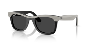 Ray-Ban 2240 WAYFARER, couleur 144248 · Gris sur noir