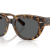 1292b1-havana-on-transparent-brown-4
