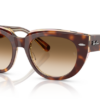 141451-light-havana-on-transparent-multicolour