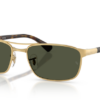 001-31-arista-gold