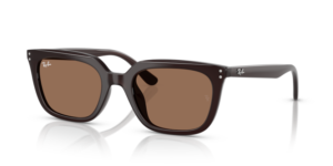 Ray-Ban 4439D, couleur 623173 · Opal marron