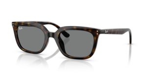 Ray-Ban 4439D, couleur 710/87 · Havane