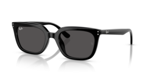 Ray-Ban 4439D, couleur 901/87 · Noir