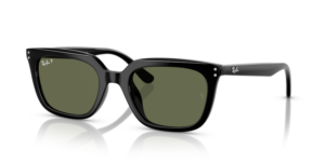 Ray-Ban 4439D, couleur 901/9A · Noir
