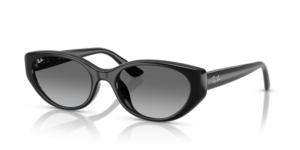 Ray-Ban 4457D, couleur 667711 · Noir