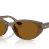677983-transparent-brown