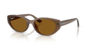 Ray-Ban 4457D, couleur 677983 · Transparent marron