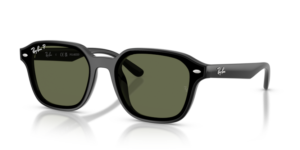 Ray-Ban 4458D, couleur 601/9a noir