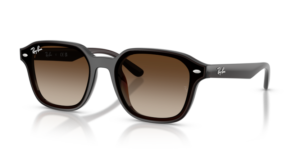 Ray-Ban 4458D, couleur 714/13 · Transparent marron foncé