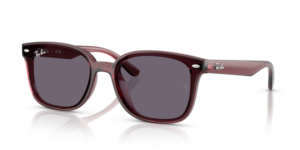 Ray-Ban 4461D, couleur 659373 · Transparent marron foncé