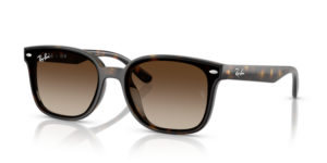 Ray-Ban 4461D, couleur 710/13 · Havane