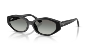 Ray-Ban 4473D, couleur 667711 · Noir