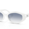 677219-white