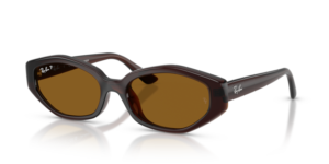 Ray-Ban 4473D, couleur 714/83 · Marron foncé