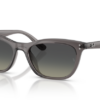 667511-transparent-dark-grey