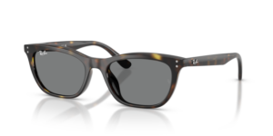 Ray-Ban 4474D, couleur 710/87 · Havane