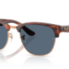 13983a-striped-havana-on-rose-gold