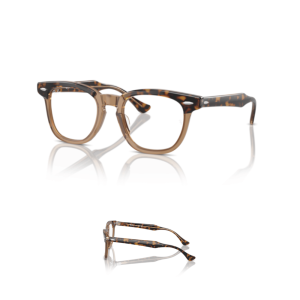 Branches Ray-Ban 9098V Originaux