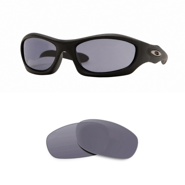 Verres Compatibles Oakley 9028 MONSTER DOG